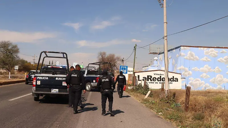 Cateo Viñedos La Redonda 